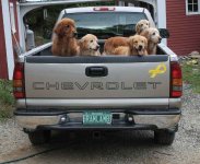 494291-ChevyMedium.jpg
