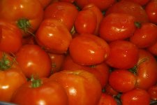 495265-toms.jpg