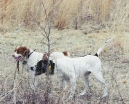 538261-Rocket and Strike.jpg