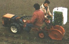 357578-vegetable2.jpg