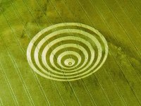 FWJ Crop Circle.jpg