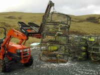 11042010021.jpg