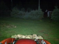IMG-20110803-00023.jpg