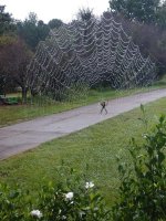 spider web.jpg
