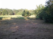 2011-08-03 18.55.41.jpg