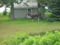IMG_0078.jpg