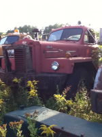 image-799680385.png