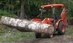 B26 and log_cropped 50.jpg