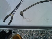 gasket snake.jpg