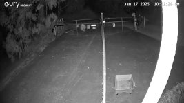 IMG_0293.jpeg