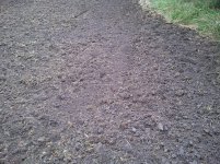 2011-08-07 16.12.21.jpg