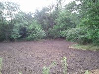 2011-08-07 16.12.41.jpg