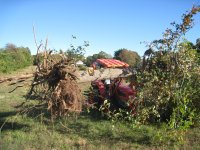 IMG_3416.jpg