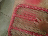 IMG01639-20111002-0024.jpg