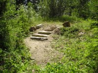 PathSteps2.JPG
