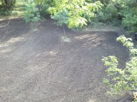 2011-08-09 17.32.58.jpg