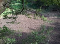 2011-08-09 17.33.04.jpg