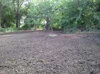 2011-08-09 17.36.06.jpg