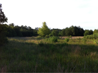 image-917288638.png