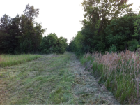 image-2051205502.png