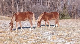 IMG_20250107_105300_656.jpg