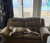 IMG_0422.jpeg