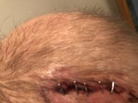 IMG_3535.jpeg