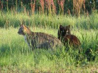 IMG_0216.jpg