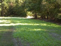 DSCN5511.jpg