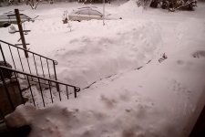 L1000190_2010snow.jpg