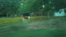 ForumRunner_20111224_113451.png