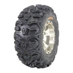 Bear Claw HTR.jpg