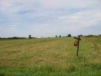 358511-land2.jpg