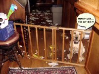 540886-DogTroubleSmall.jpg