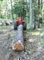 451677-Log 1.jpg