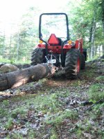 451680-Log 3.jpg