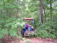 452220-RockInWoods.JPG