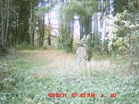 MDGC0017.JPG