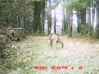 MDGC0049.JPG