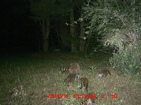 MDGC0009.JPG