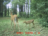 MDGC0019.JPG