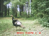 MDGC0005.JPG