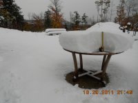 halloween 2011 snow 013.jpg