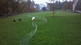 2011-10-13_17-54-53_216.jpg