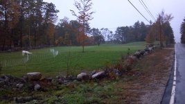 2011-10-13_17-59-25_99.jpg