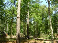 Land 5.30.11 025.jpg