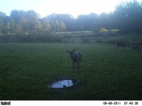 Food Plot.JPG