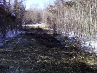 forestry cutter2.JPG