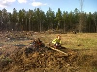 Temp pasture day 1-2.jpg