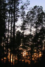 927102220.jpg